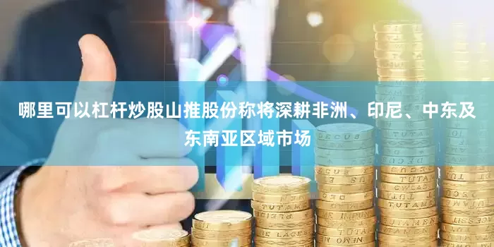 哪里可以杠杆炒股山推股份称将深耕非洲、印尼、中东及东南亚区域市场