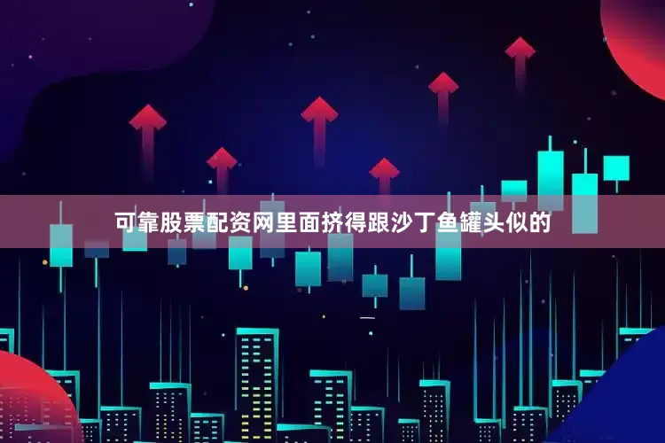 可靠股票配资网里面挤得跟沙丁鱼罐头似的