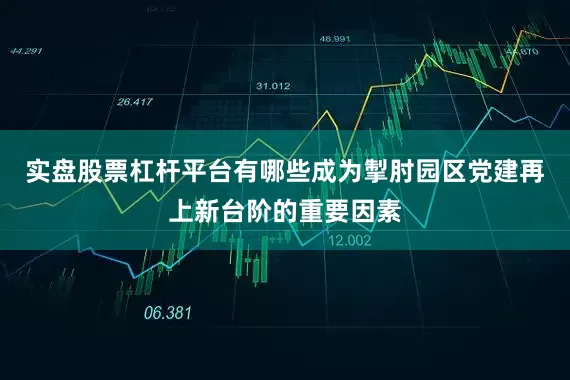 实盘股票杠杆平台有哪些成为掣肘园区党建再上新台阶的重要因素