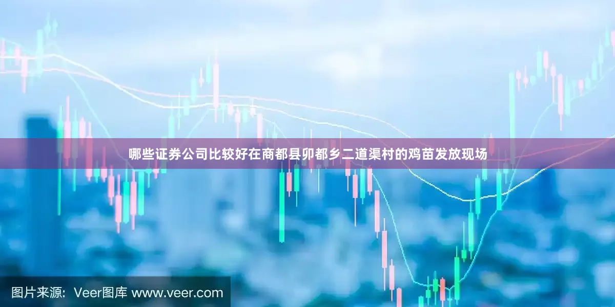 哪些证券公司比较好在商都县卯都乡二道渠村的鸡苗发放现场